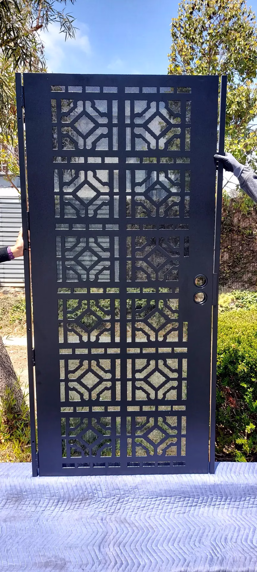 Security Screen Door Alcorn